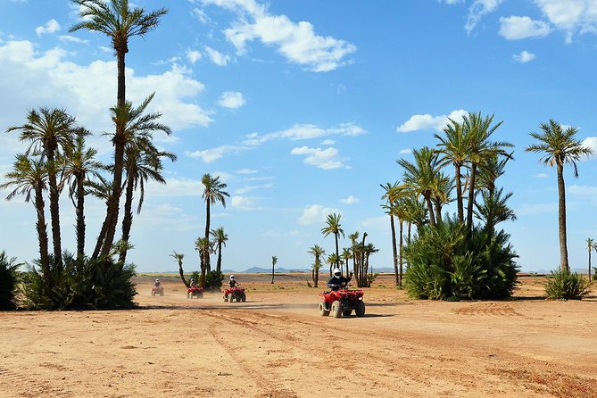 Marrakech Desert and Palm Grove Quad Bike Tour - Key Points