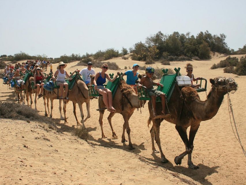 Maspalomas: E-Scooter Chopper 2 Seat Optional Camel Tour - Key Points