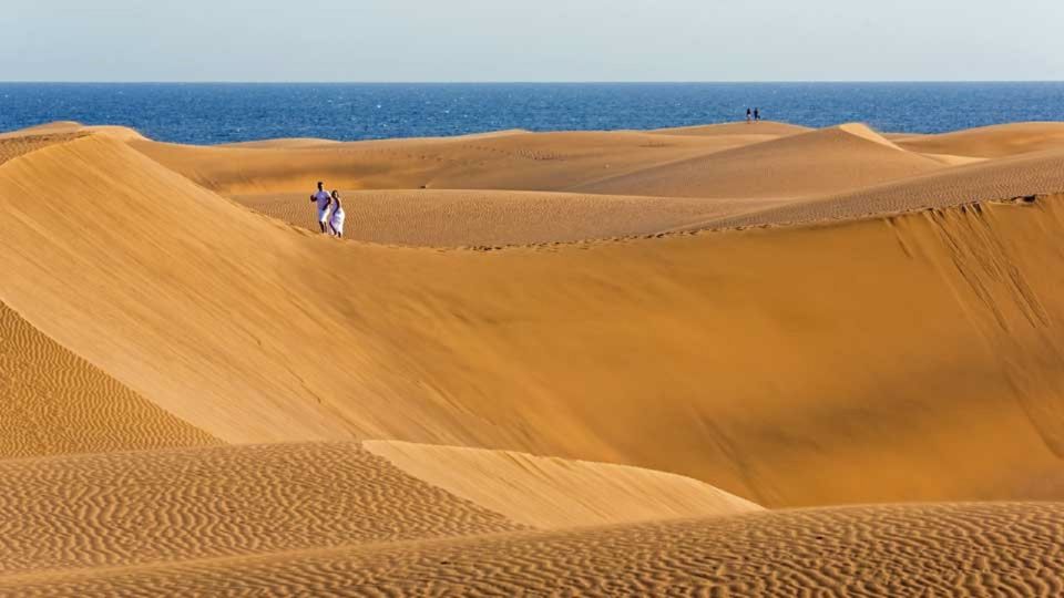 Maspalomas: Southern Coast E-Bike Tour Option Tapas Tasting - Key Points