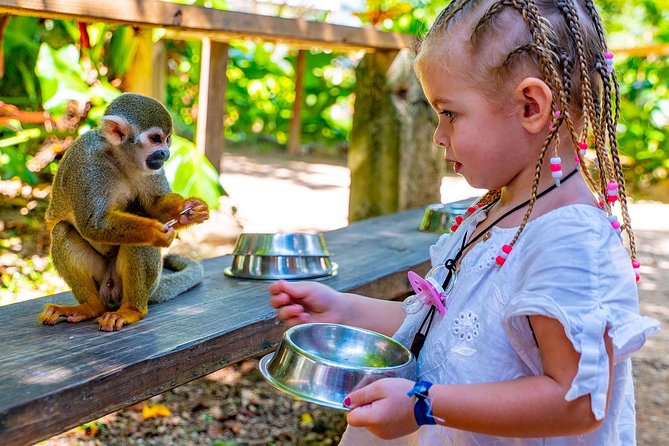 Monkeyland & Plantation Safari Full Day From Juan Dolio - Key Points