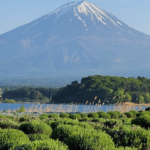 Mount Fuji Day Tour With English Speaking Guide Tour Overview And Pricing