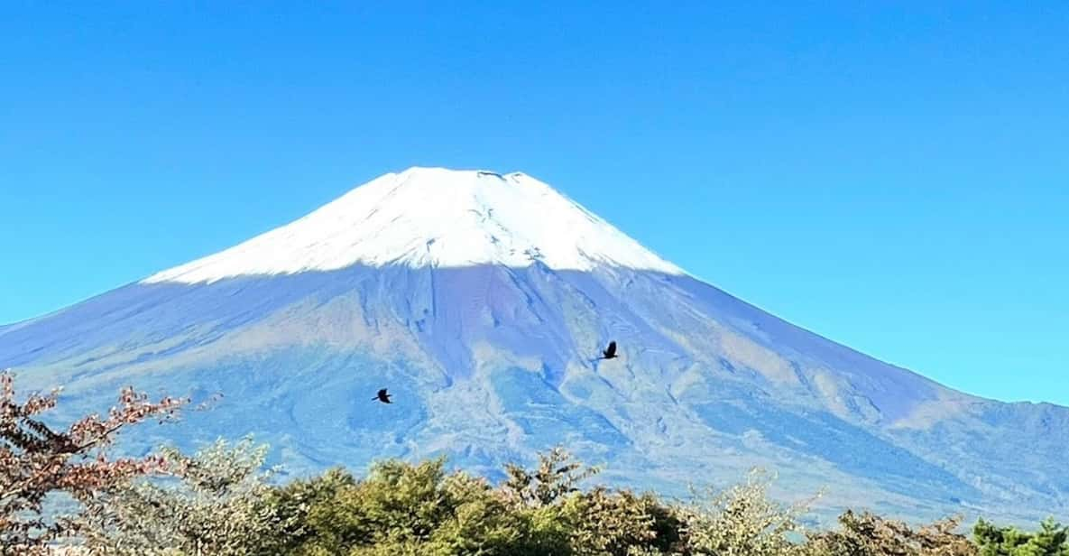 Mount Fuji Day Tour With English Speaking Guide - Key Points