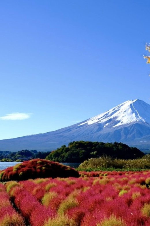 Mount Fuji Full Day Private Tour Review - Itinerary Highlights