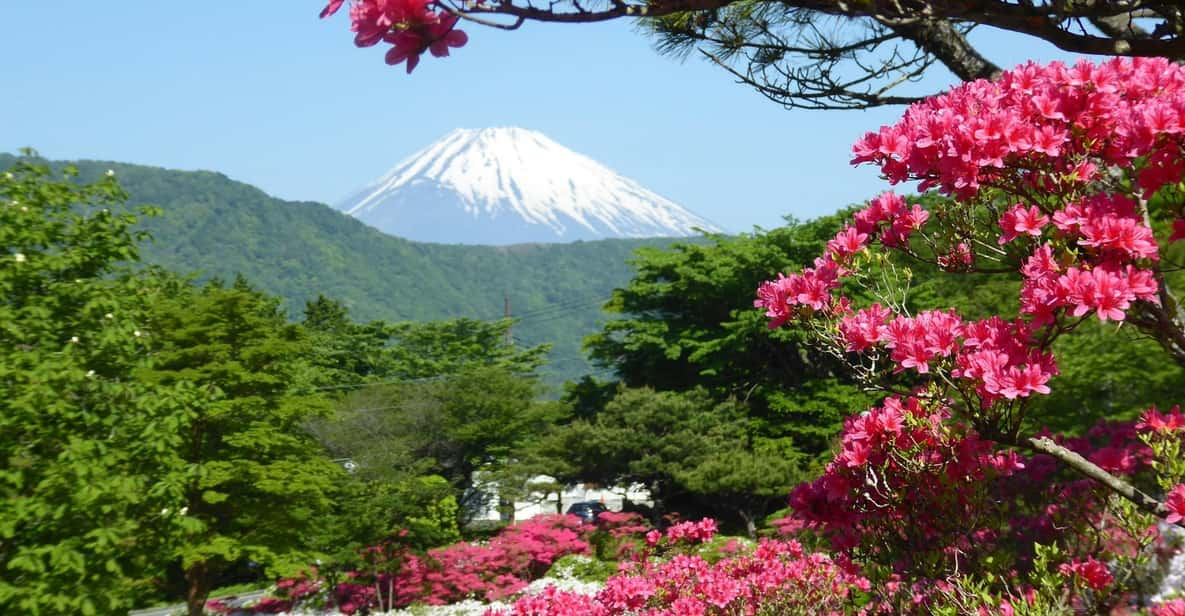 Mount Fuji & Hakone Tour - Key Points