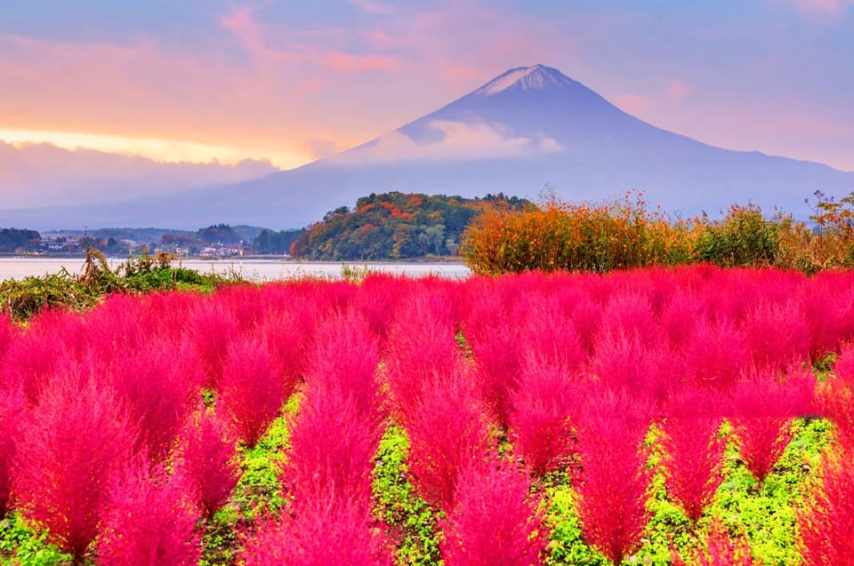 Mt.Fuji:Lake Kawaguchi,Yamanaka & Onsen Day Tour From Tokyo - Key Points