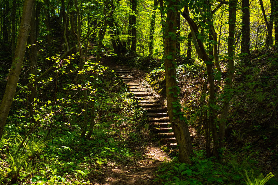 Mt. Usu Hike Review: An Unforgettable Adventure - Key Points