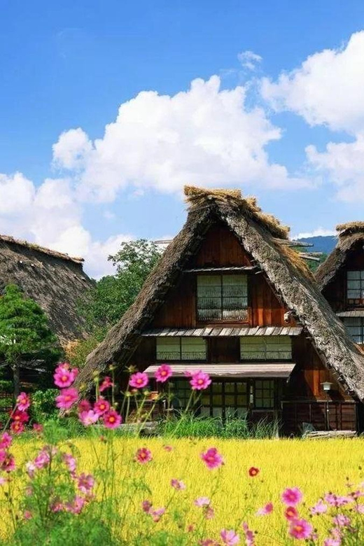 Nagoya 1-Day Trip: Hida Takayama and Shirakawa-go Village - Key Points