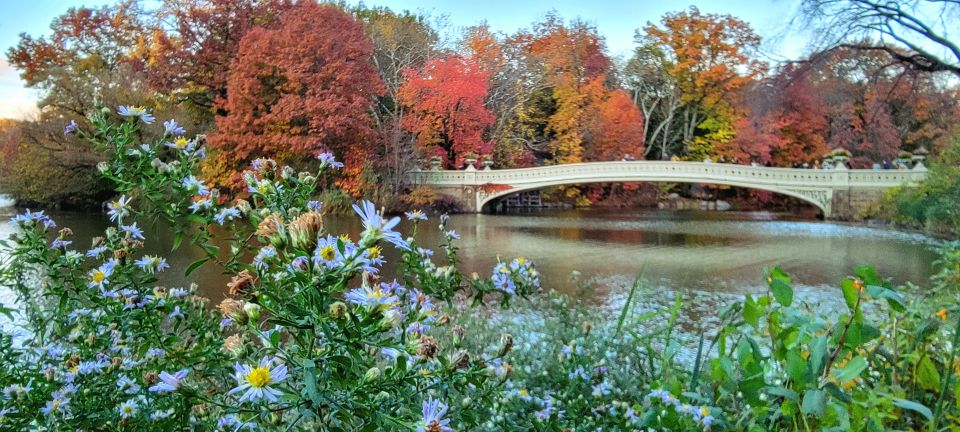 NYC: Central Park Secrets and Highlights Walking Tour - Key Points