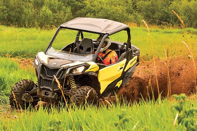 Off-Road UTV Tour: Explore Puerto Rico Minutes From San Juan - Key Points