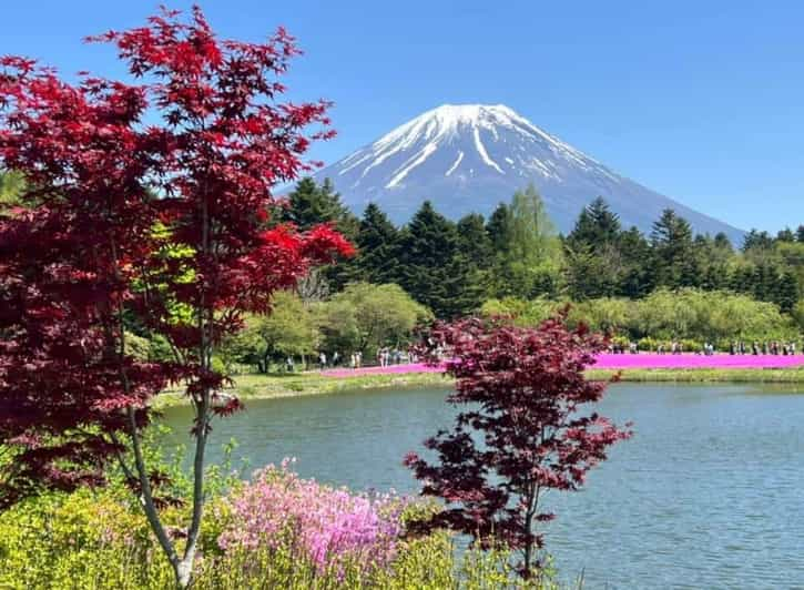 One Day Mount Fuji Private Tour With English Speaking Driver - Key Points