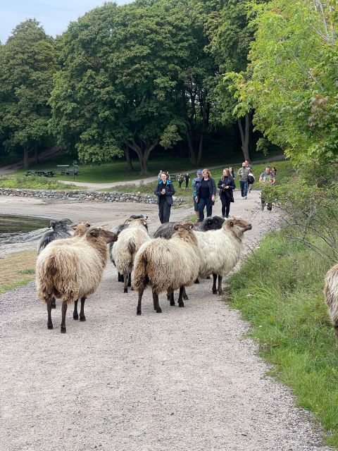 Oslo Island Walks: Island Hopping Tour - Key Points