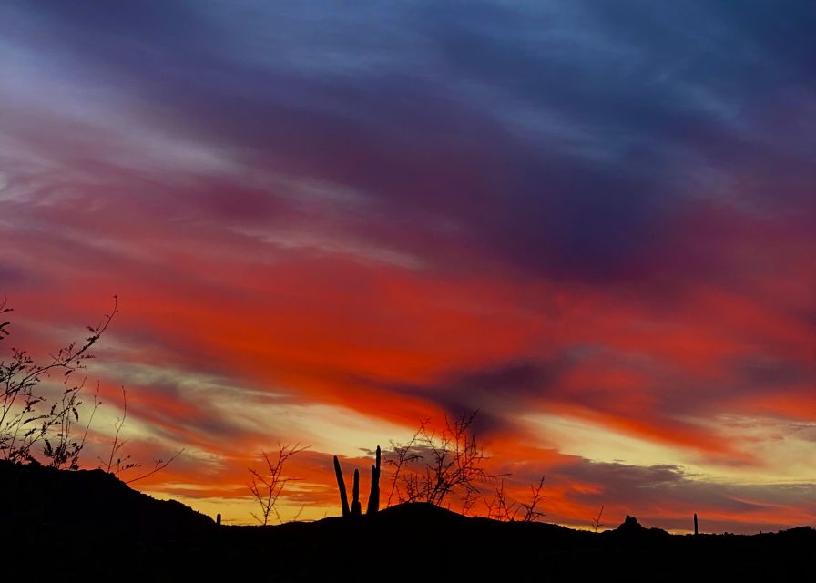 Phoenix: Sonoran Desert Guided Hiking Adventure - Key Points