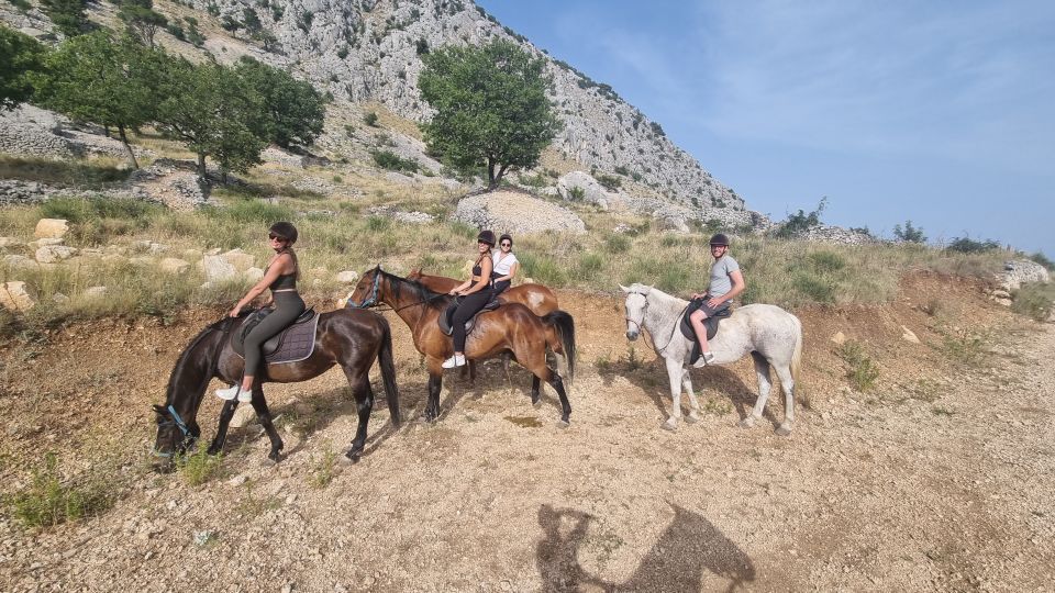 Podstrana: Guided Horseback Riding Experience - Key Points