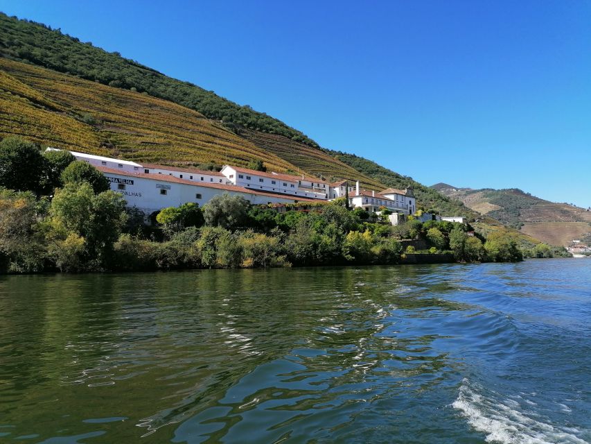 Porto: 2 Douro Valley Wineries Day Trip With River Cruise - Key Points