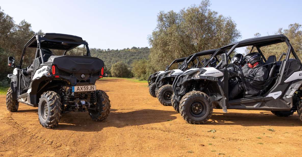 Porto Santo: 180 Minutes Off-Road Buggy Tour - Key Points