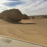 Private Day Tour To El Fayoum & Valley Of The Whales From Cairo Key Points