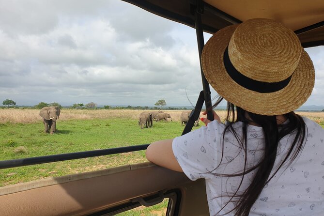 Private Full-Day Trip to Mikumi National Park From Dar Es Salaam - Key Points