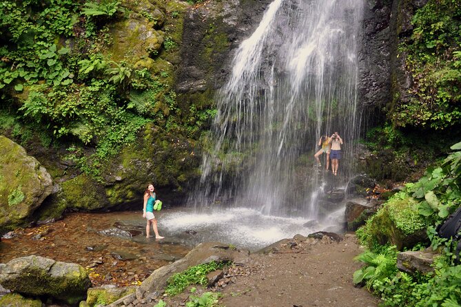 Private Hiking Tour to Mtirala National Park From Batumi - Key Points