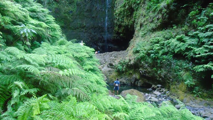 Queimadas Natural Park 5-Hour Guided Hike - Key Points