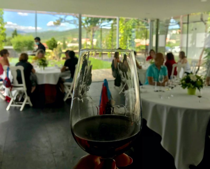 Quinta Da Pacheca: Walking With a Full Lunch and Wine Tasting - Key Points