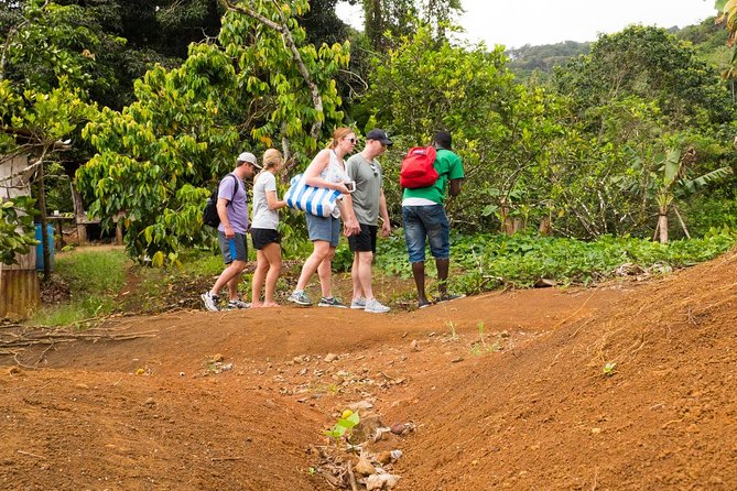 Rainforest Hike - Key Points