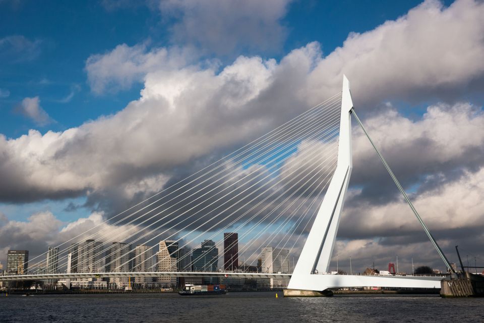 Rotterdam: Private Tour With a Local - Tour Overview and Pricing