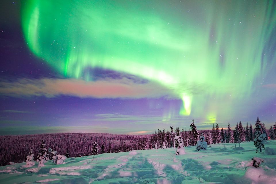 Rovaniemi: Northern Lights Snowmobile Tour - Key Points