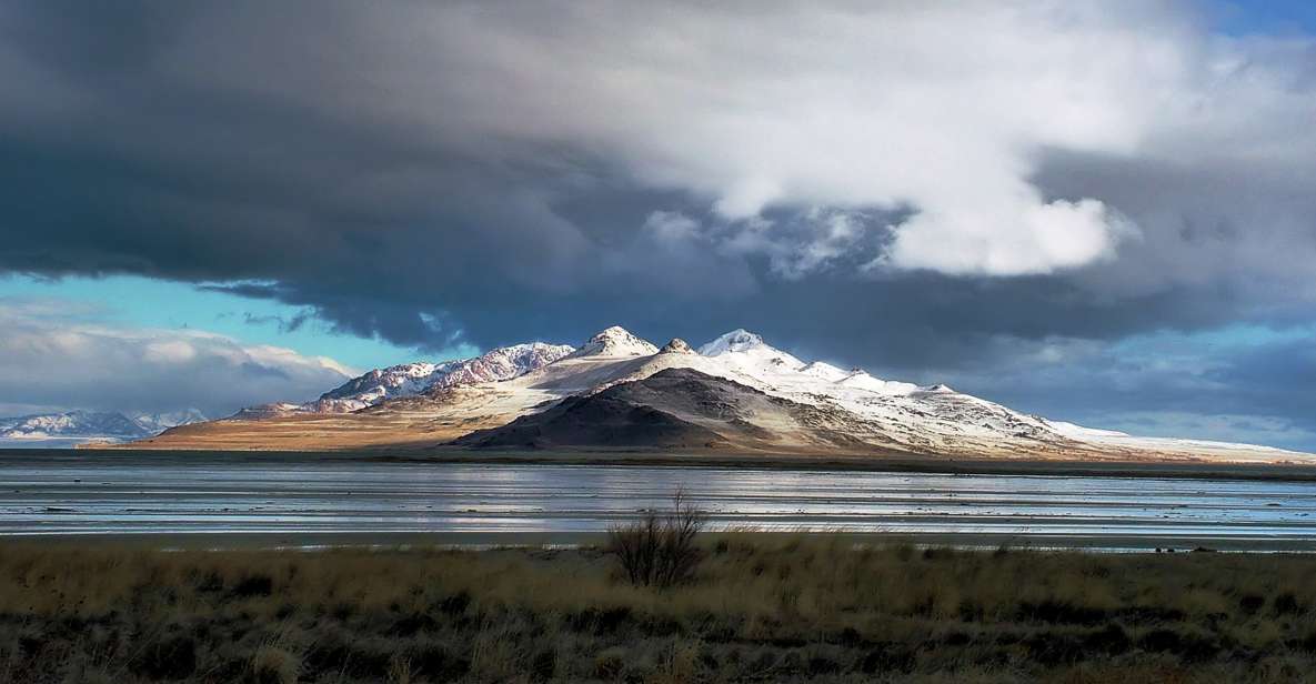 Salt Lake City: Great Salt Lake Antelope Island Guided Tour - Key Points