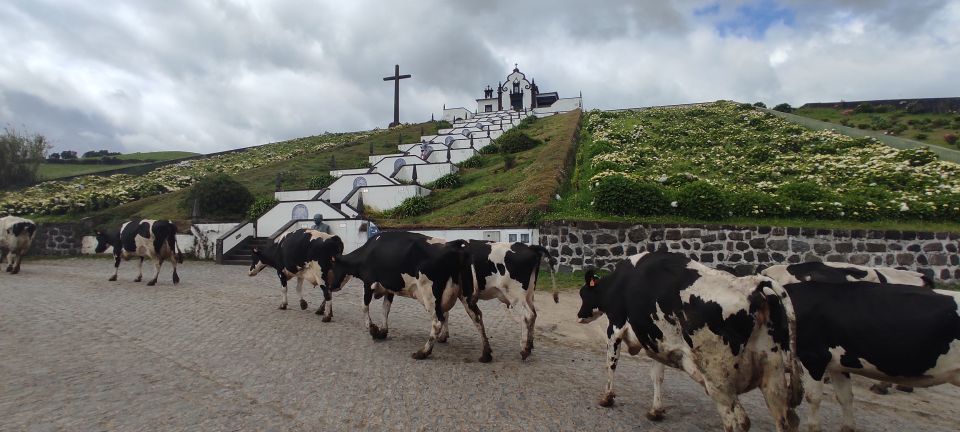 São Miguel Island on Jeep - Key Points