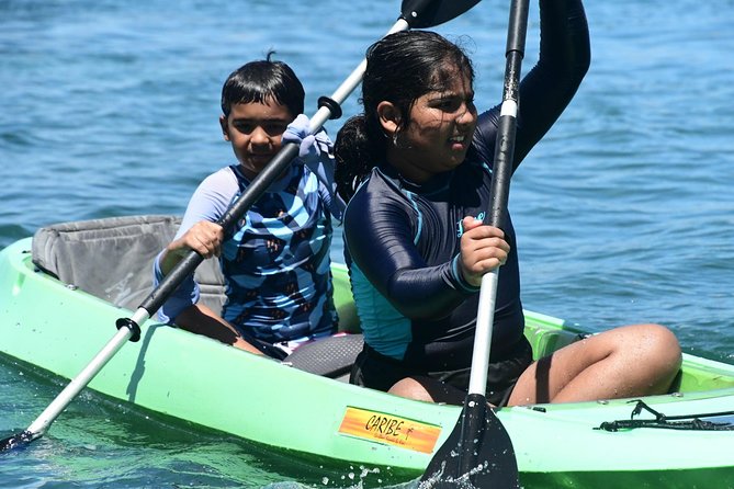 Scenic Glass Bottom Kayak Tours (Day and Night) - Overview of Glass-Bottom Kayaking