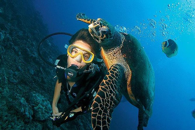 Scuba Diving Full of Adrenaline in Antalya - Key Points