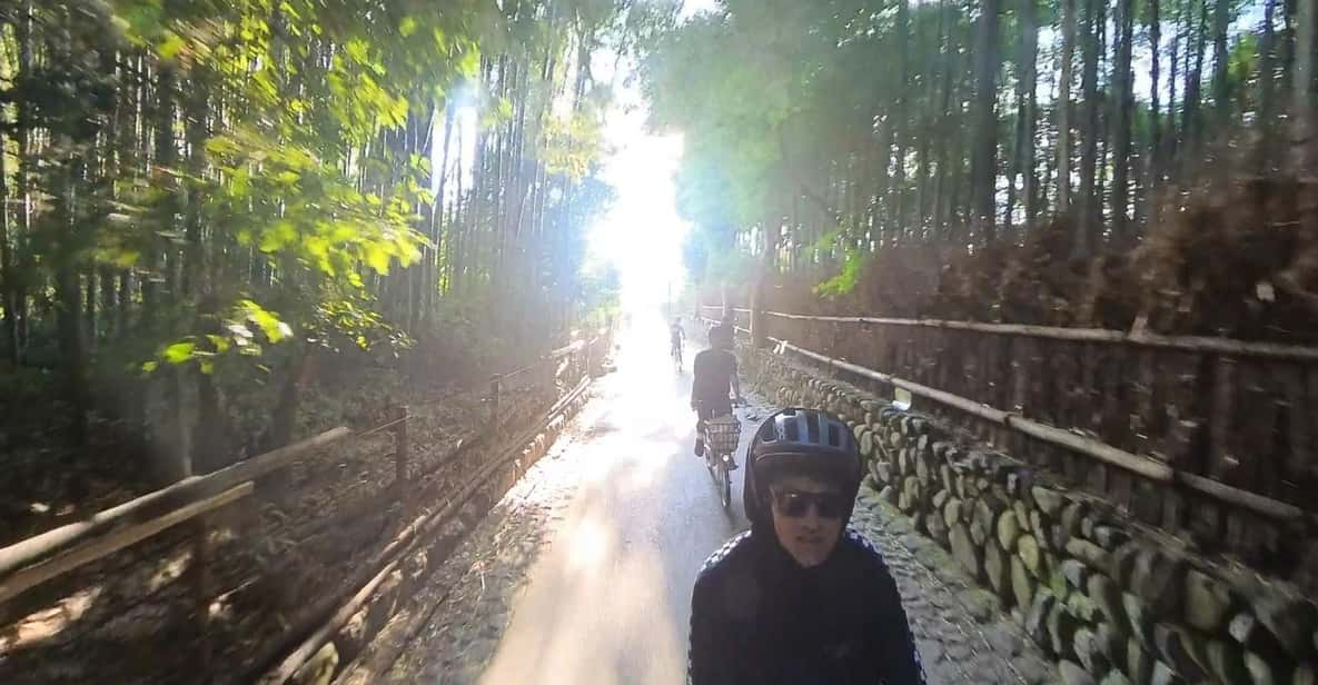 Serene Cycling in Arashiyama: Tour Review - Key Points