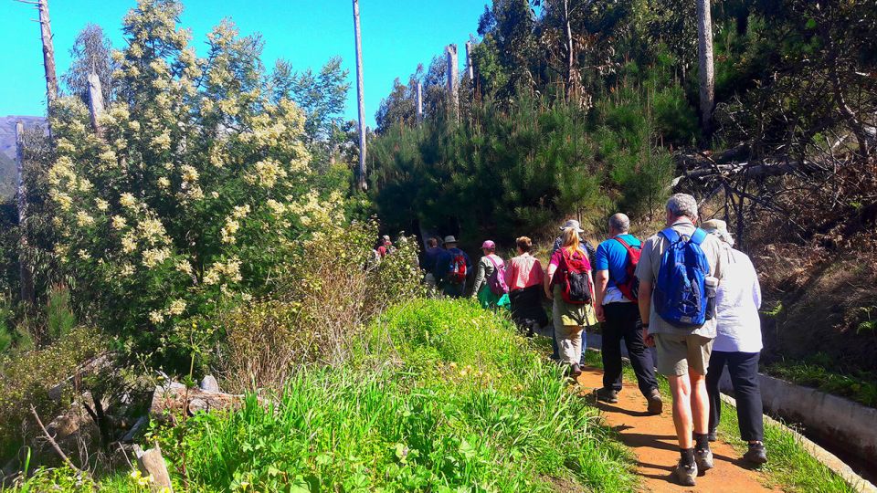 Serra De Água Valley Levada Walk - Key Points