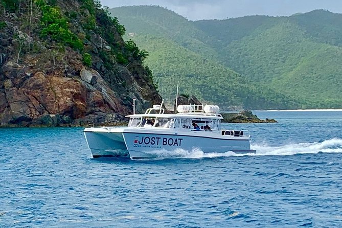 St. Thomas Lime Out Snorkel With Taco Bar Lunch & Swim-Up Bar - Ritz-Carlton - Overview of the Tour