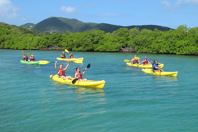 St Thomas Shore Excursion: Mangrove Lagoon Kayak and Snorkel Tour - Tour Overview