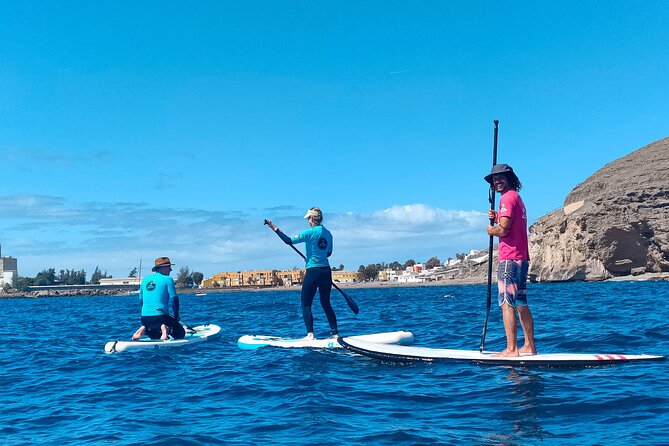 Stand up Paddle and Snorkeling Tour of Gran Canaria With Transfers South Area - Pickup and Transfers