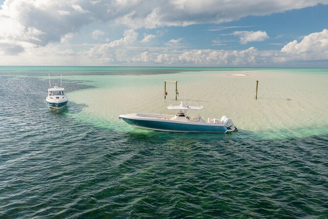 Swim With the Turtles! Harbour Island Luxury Private Boat Tour - Overview of the Tour