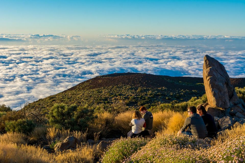 Teide: Guided Sunset and Stargazing Tour With Dinner - Key Points