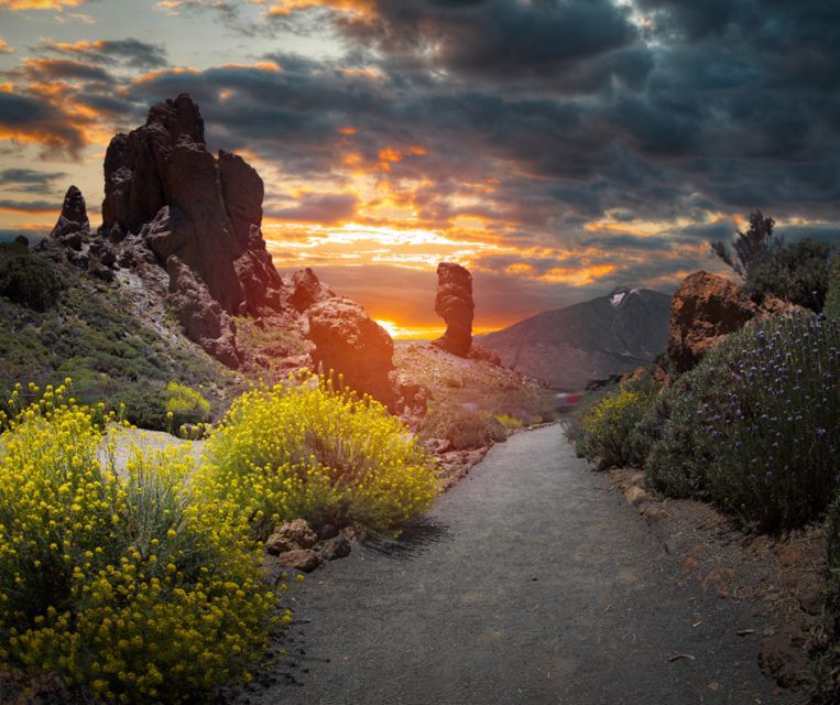 Teide National Park: Landscapes and Viewpoints Private Tour - Key Points