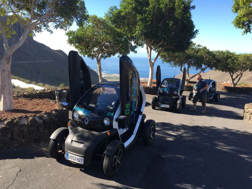 Tenerife: Private Renault Twizy Tour - Key Points