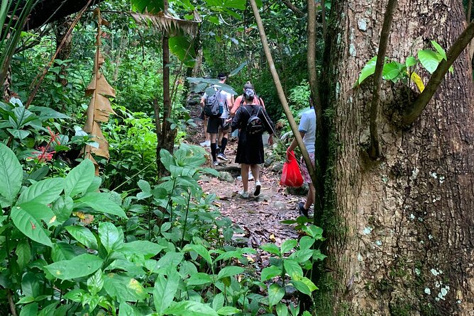 The El Yunque National Forest and Luquillo Beach Combo - Overview of the Tour