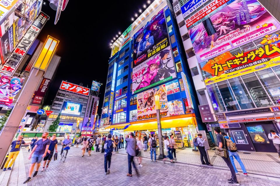 Tokyo: Anime&Otaku Private Tour With Expert English Guide - Key Points