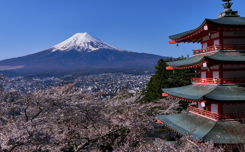 Tokyo Day Trip -Mount Fuji Private Tour From Tokyo - Tour Overview and Pricing