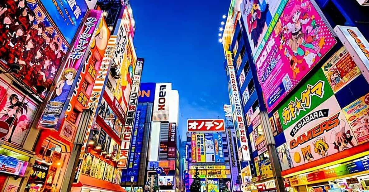 Tokyo Full Day Private Tour With English Speaking Driver - Key Points