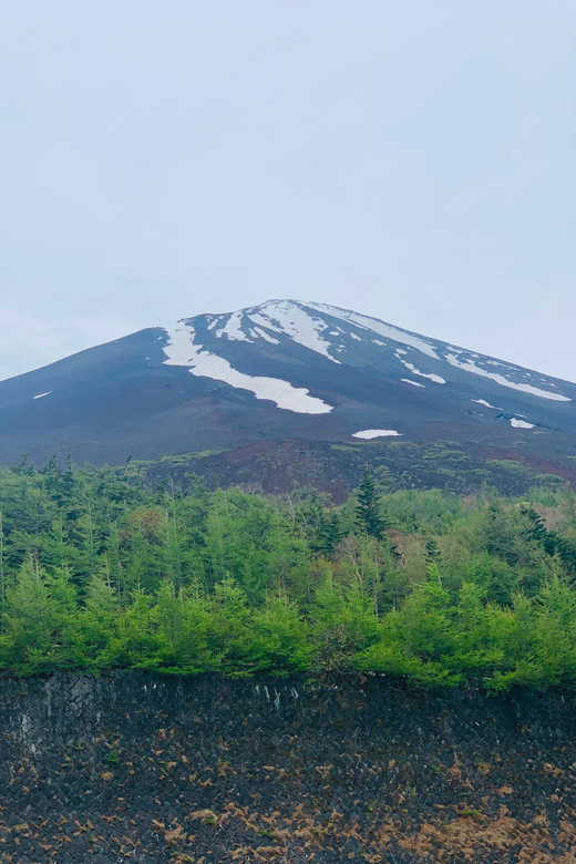 Tokyo: Mount Fuji & Hakone Customized English Guided Trip - Tour Overview and Pricing