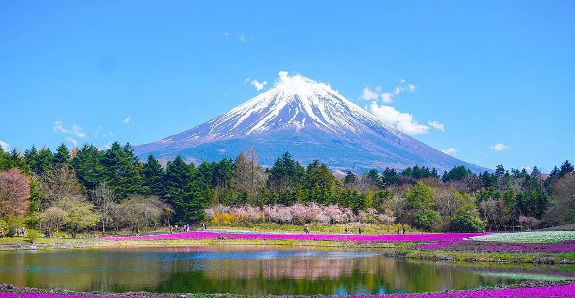 Tokyo: Mount Fuji or Hakone Customized Private Full-Day Trip - Key Points