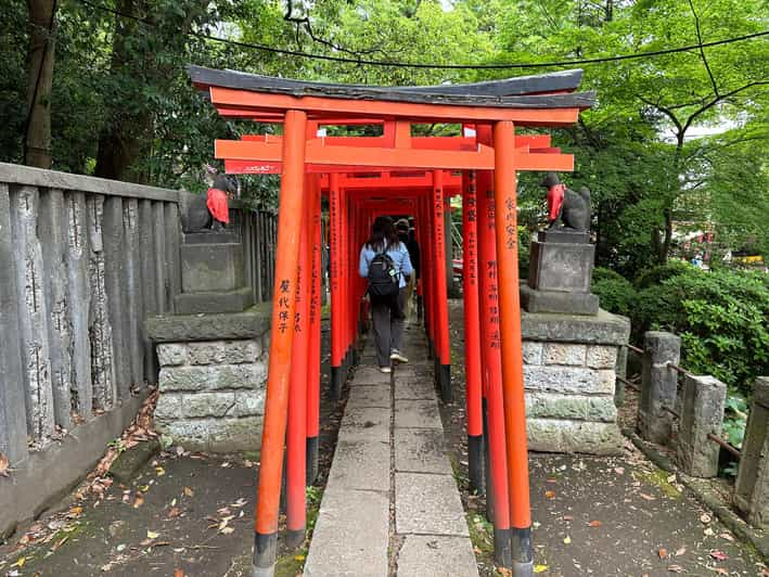 Tokyo Private Customized Tour : Old Traditional Town~Yanaka - Key Points