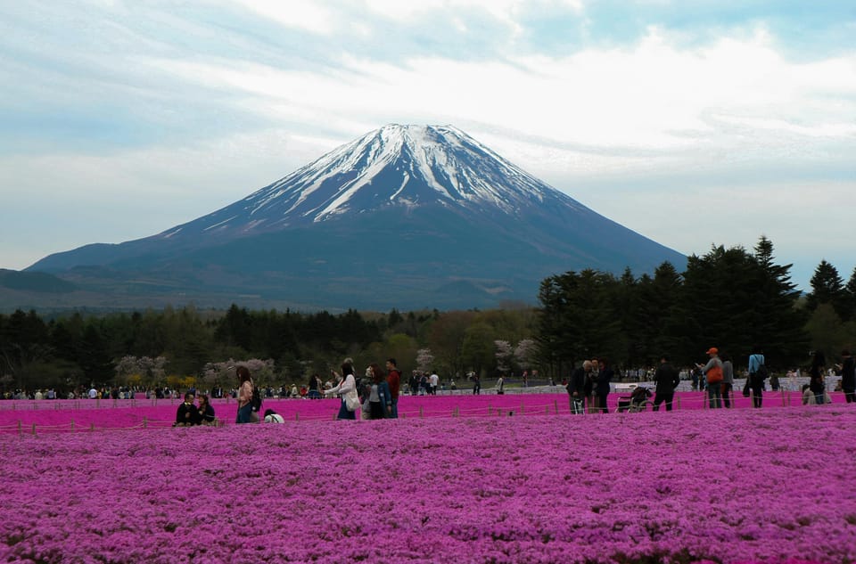 Tokyo: Private Mount Fuji Tour With Pickup and Drop-Off - Key Points