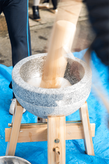 Tokyo Shinjuku: Mochi Pounding Experience With Tasting - Key Points