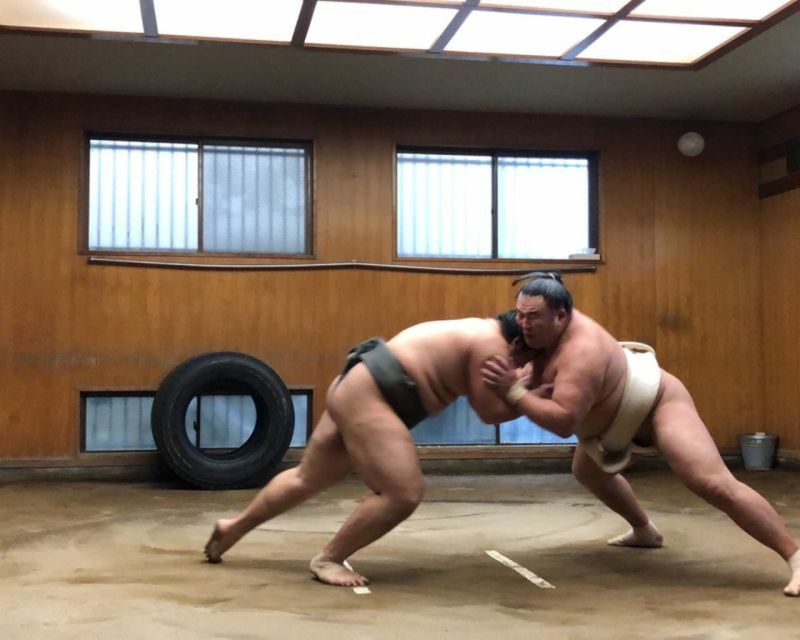 Tokyo: Sumo Morning Practice Tour in Ryogoku - Key Points